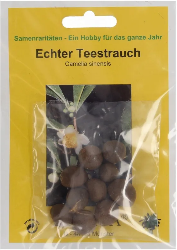 Favoriet van klanten | TROPICA Echte Theestruik, 10 Korrels