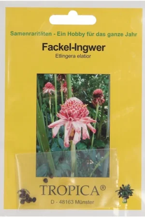 Dagdeal | TROPICA Fakkel Gember, 10 Korrels