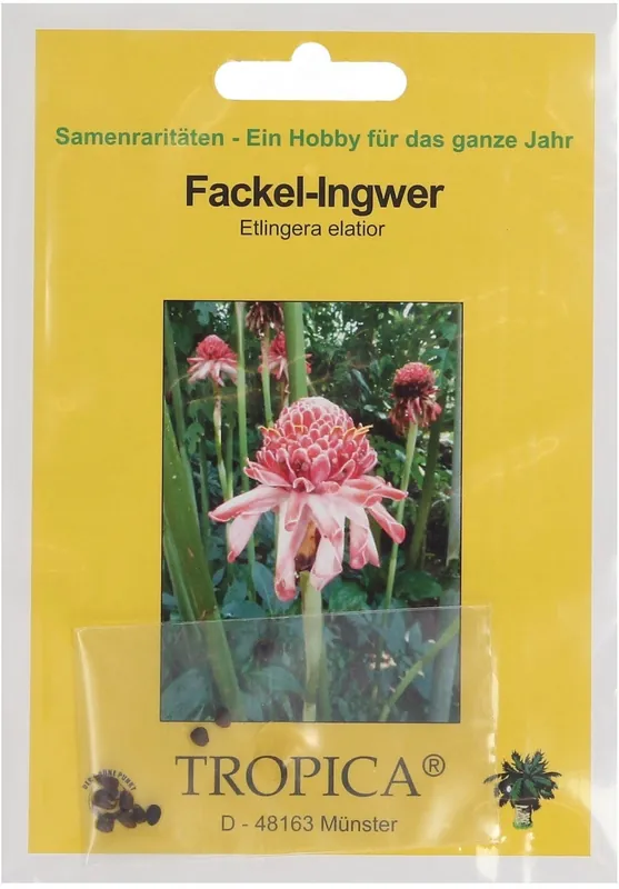 Dagdeal | TROPICA Fakkel Gember, 10 Korrels