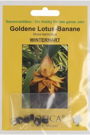 Direct bestellen - TROPICA Gouden Lotusbanaan, 5 Korrels