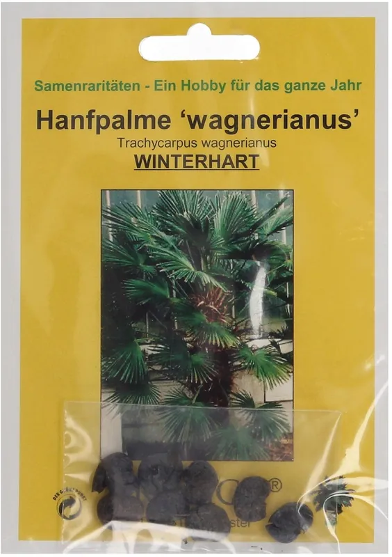 Tijdelijke actie - TROPICA Henneppalm "Wagnerianus", 8 Korrels