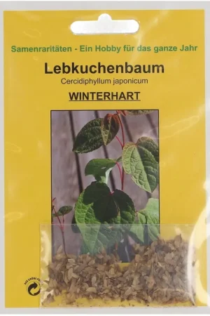 Veilig winkelen - TROPICA Japanse Katsuraboom, 100 Korrels