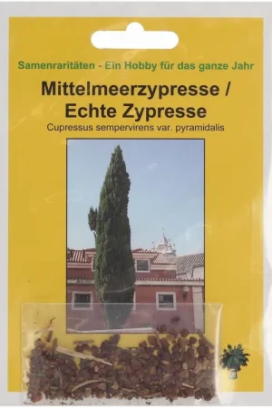 TROPICA Mediterrane Cipres, 100 Korrels - Direct leverbaar
