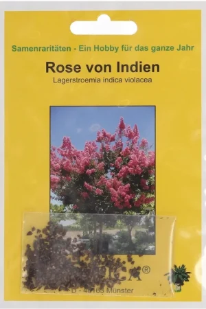 Prijs verlaagd - TROPICA Mirte, 100 Korrels
