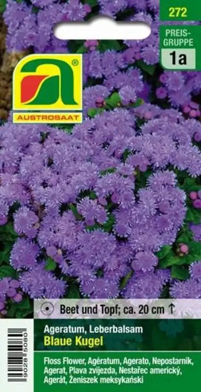 AUSTROSAAT Mexicaantje Blaue Kugel - Speciale deal