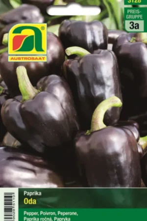 Veel gekozen | AUSTROSAAT Paarse Paprika Oda