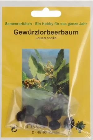 TROPICA Specerij Laurierboom - Online kopen