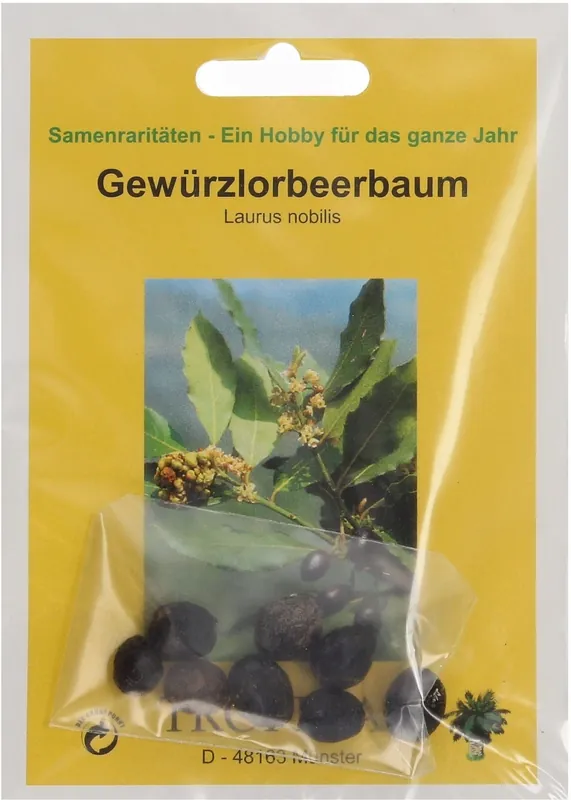 TROPICA Specerij Laurierboom - Online kopen