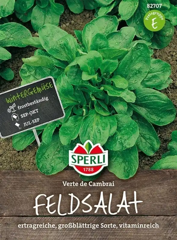 Sperli Veldsla "Verte de Cambrai" - Tijdelijk aanbod