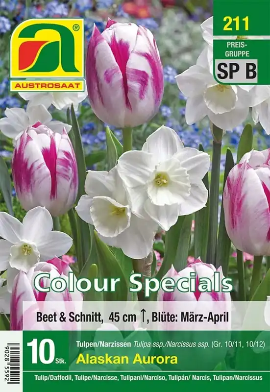 AUSTROSAAT Tulpen & Narcissen Mix "Alaskan Aurora", 10 Uien - Direct beschikbaar