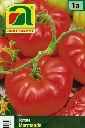 Scherp geprijsd | AUSTROSAAT Vleestomaat Marmande