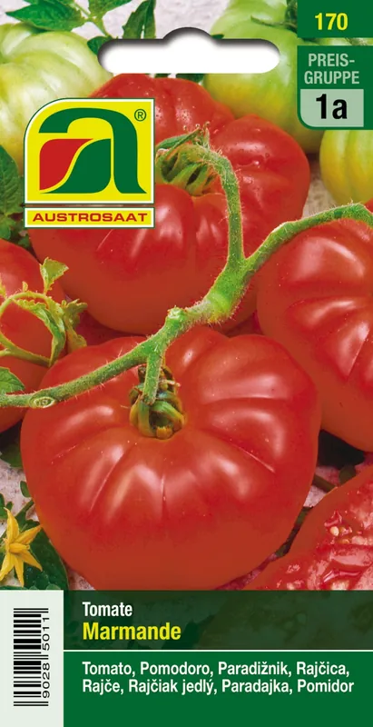 Scherp geprijsd | AUSTROSAAT Vleestomaat Marmande
