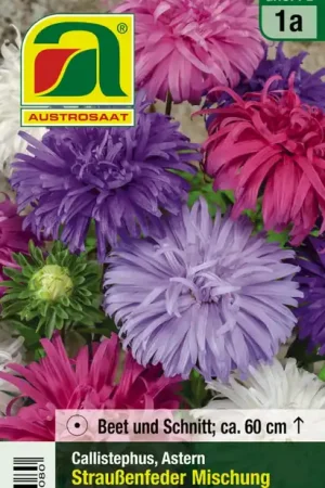 AUSTROSAAT Asters Straussenfeder Mischung - Topdeal