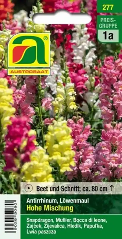 AUSTROSAAT Leeuewenbekje Hoge Mix - Bestseller