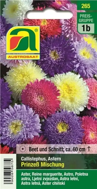 Online bestelbaar | AUSTROSAAT Asters Prinzess Mischung