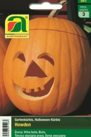 Wees er snel bij - AUSTROSAAT Halloween Pompoen Howden