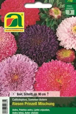 Sale | AUSTROSAAT Asters Riesen Prinzess-Mischung