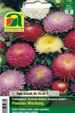 AUSTROSAAT Asters Pommax Mix - Nieuw binnengekomen