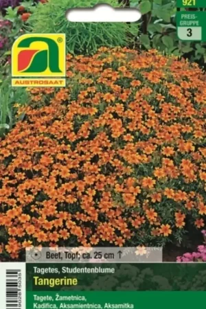 AUSTROSAAT Afrikaantje Tangerine - Bestseller