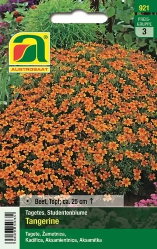 AUSTROSAAT Afrikaantje Tangerine - Bestseller