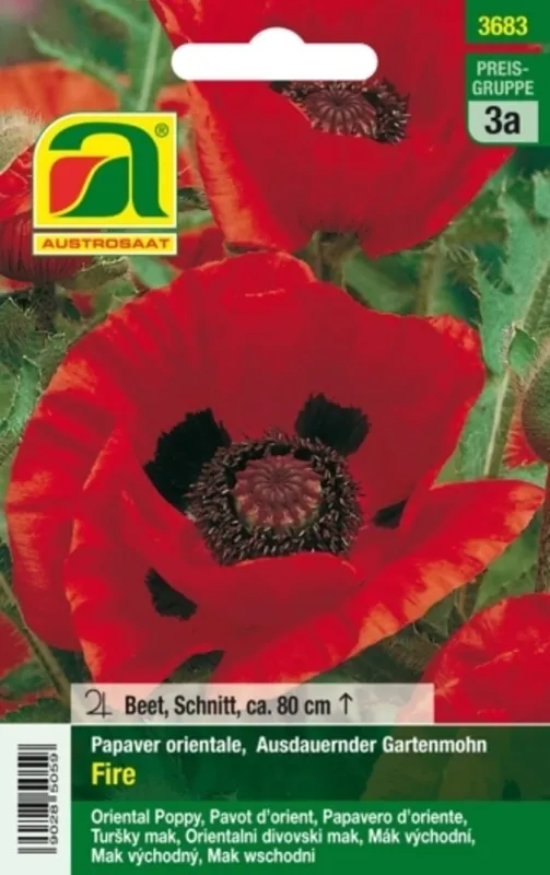 AUSTROSAAT Papaver Fire - Vanaf nu beschikbaar