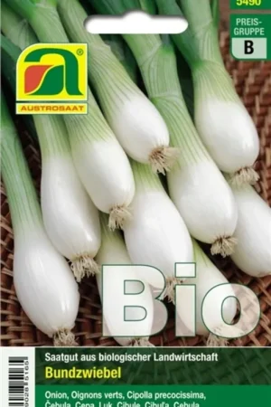 AUSTROSAAT Biologische Lente-ui Witte von Lissabon - Deal