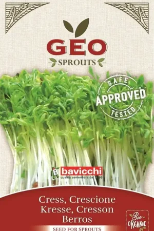 Bavicchi Biologische Kiemgroente "Tuinkers", 35 g | Scherp geprijsd
