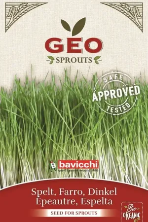 Bavicchi Biologische Kiemgroente "Spelt", 70 g | Nu beschikbaar