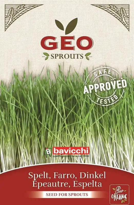 Bavicchi Biologische Kiemgroente "Spelt", 70 g | Nu beschikbaar