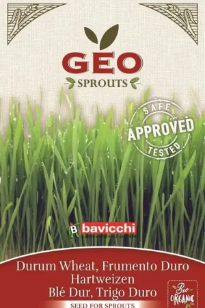 Meest verkocht | Bavicchi Biologische Kiemgroente "Harde Tarwe", 80 g