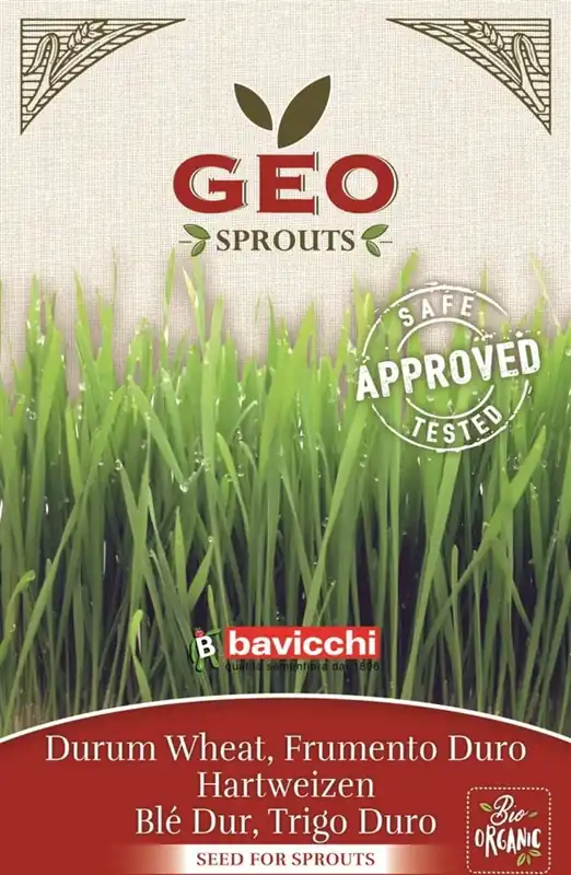 Meest verkocht | Bavicchi Biologische Kiemgroente "Harde Tarwe", 80 g