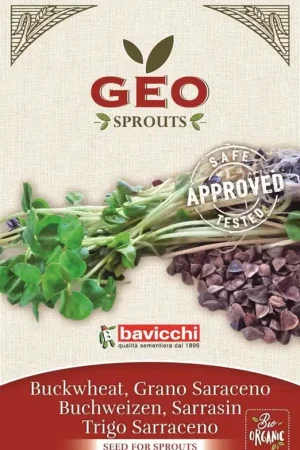 Bavicchi Biologische Kiemgroente "Boekweit", 90 g | Bestseller