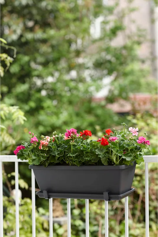 Nieuw in het assortiment - elho barcelona balkonbak schotel 70cm, antraciet