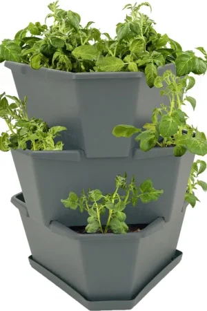 GUSTA GARDEN PAUL POTATO Starter, 3 Etages, Grijs - Veel gevraagd