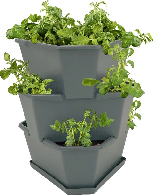 GUSTA GARDEN PAUL POTATO Starter, 3 Etages, Grijs - Veel gevraagd
