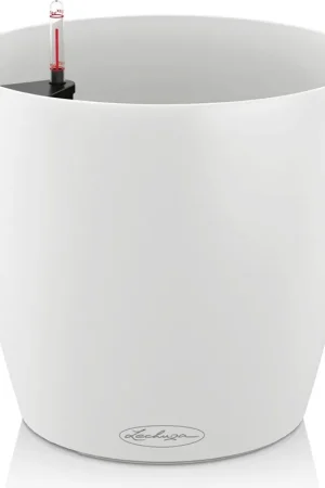 Topproduct - Lechuza CLASSICO Color 28, Wit
