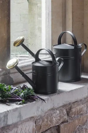 Garden Trading Hoogwaardige Stalen Gieter, 10 Liter | Scherpe prijs