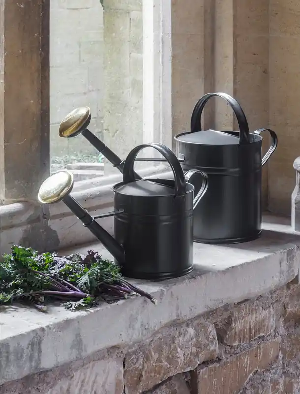 Garden Trading Hoogwaardige Stalen Gieter, 10 Liter | Scherpe prijs