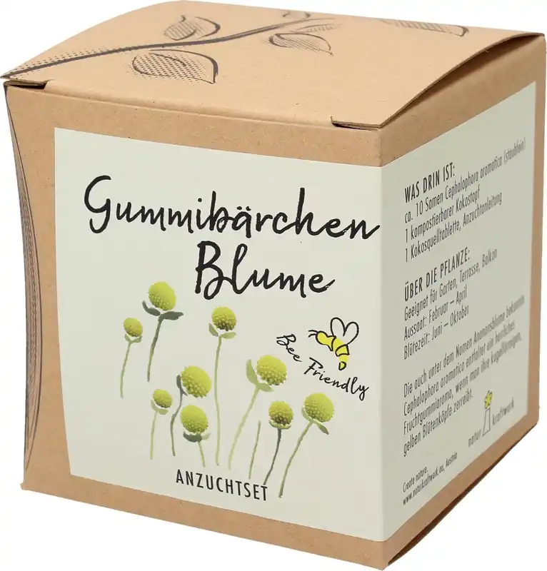 Bestseller - naturkraftwerk Groeiset Ananasbloem