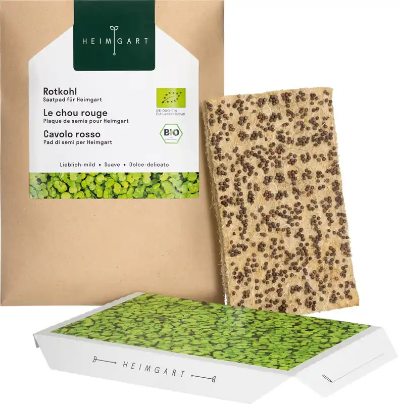 Heimgart Rode Kool Microgreens Zaadschijf | Snelle levering