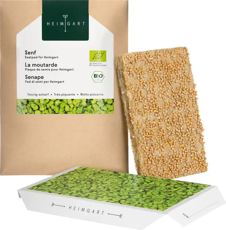 Heimgart Mosterd Microgreens Zaadschijf - Nieuw product