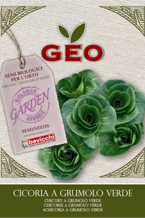 Makkelijk bestellen - Bavicchi Biologische Bladgroenten "Grüne Kugel", 6 g