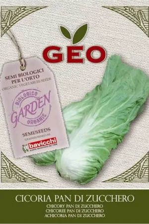 Bavicchi Biologische Bladgroenten “Pan Di Zucchero”, 6 g - Shop nu