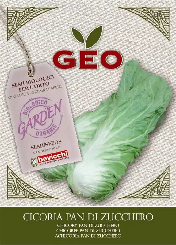 Bavicchi Biologische Bladgroenten “Pan Di Zucchero”, 6 g - Shop nu