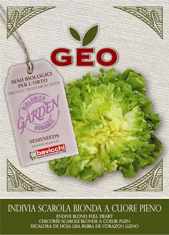 Bavicchi Biologische Andijvie "blond", 6 g - Nieuwe release
