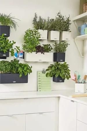 Veel gekozen | Lechuza CUBE Color Green Wall Home Kit, Wit