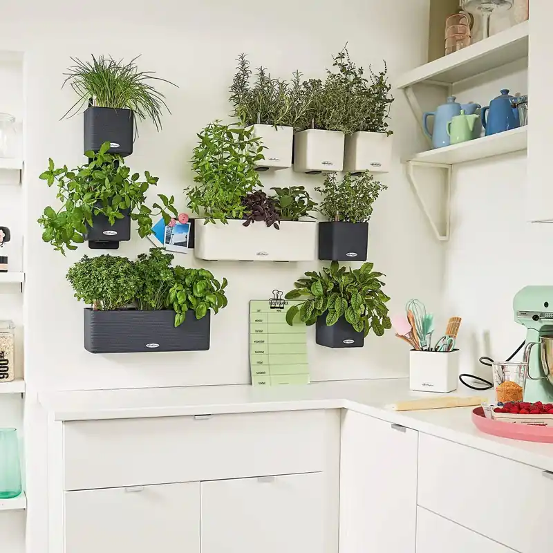Veel gekozen | Lechuza CUBE Color Green Wall Home Kit, Wit