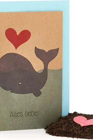 Die Stadtgärtner Bloeiende Wenskaart "Alles Liebe!" - Online kopen