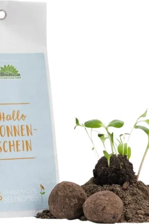 Die Stadtgärtner Hallo Zonneschijn Zaadbommen | Hoge kwaliteit