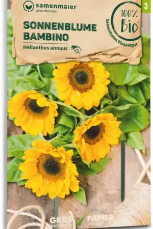 Fabrieksprijs - Samen Maier Biologische Zonnebloem "Bambino"